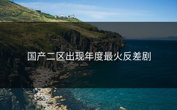 国产二区出现年度最火反差剧