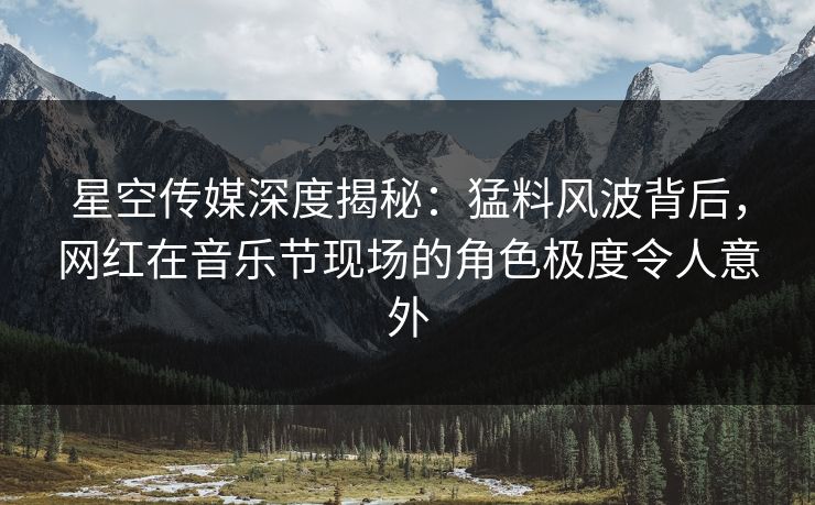 星空传媒深度揭秘:猛料风波背后,网红在音乐节现场的角色极度令人意外 星空传媒深度揭秘:猛料风波背后,网红在音乐节现场的角色极度令人意外